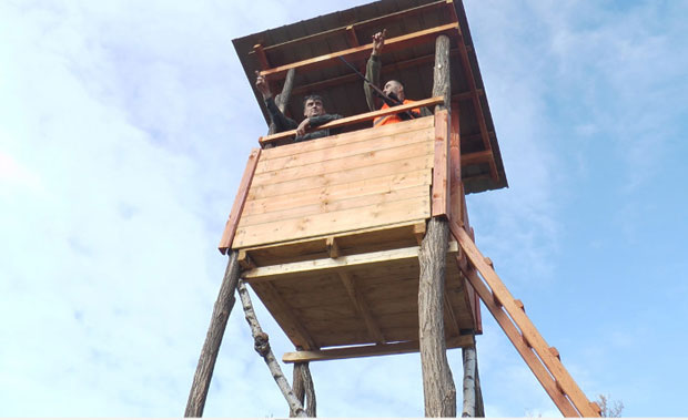 Драгачевом се шири страх од црног вука 